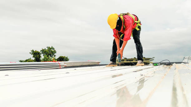 Best Roof Insulation Installation  in Mammoth Lakes, CA