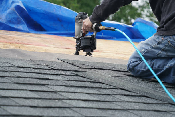 Best Roof Coating and Sealing  in Mammoth Lakes, CA